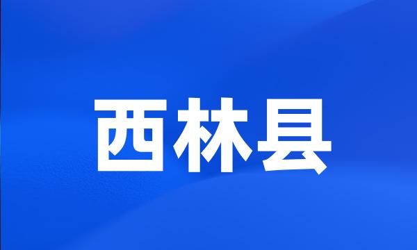 西林县