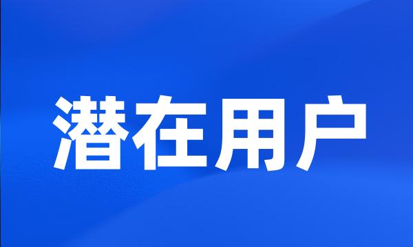 潜在用户