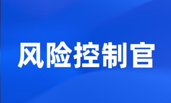 风险控制官