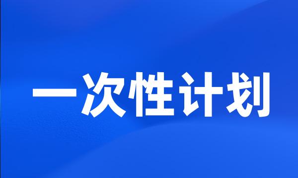 一次性计划