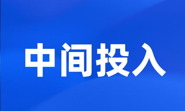 中间投入