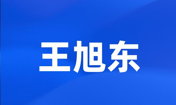 王旭东