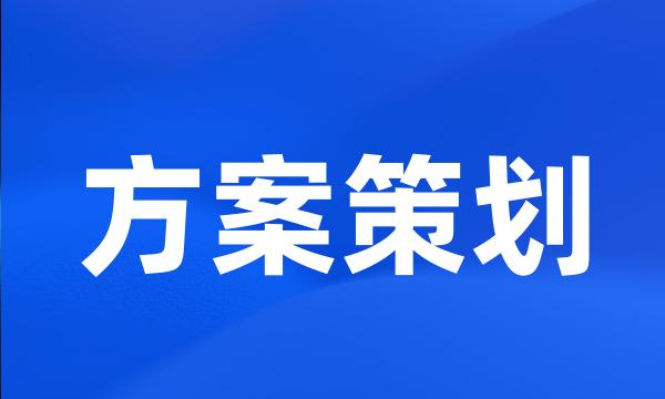 方案策划