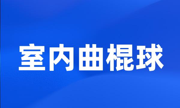 室内曲棍球