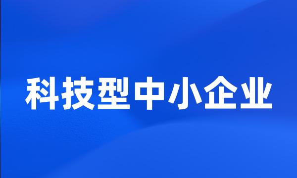 科技型中小企业