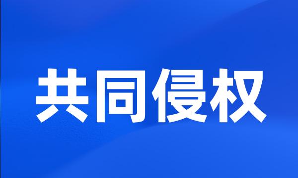 共同侵权