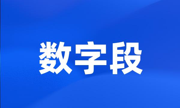 数字段