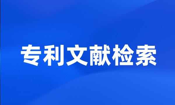 专利文献检索