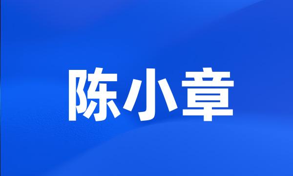 陈小章