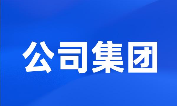 公司集团