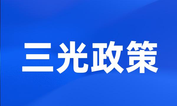 三光政策