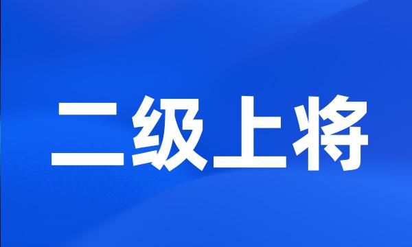 二级上将