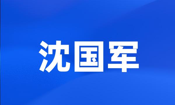 沈国军