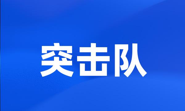 突击队