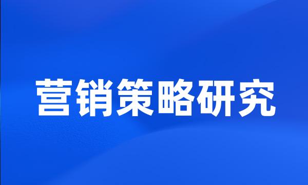 营销策略研究