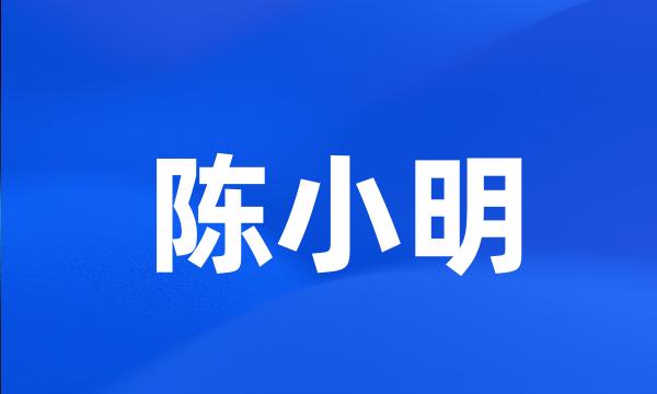 陈小明