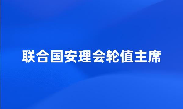 联合国安理会轮值主席