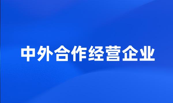 中外合作经营企业