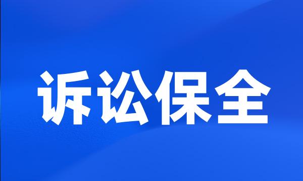 诉讼保全