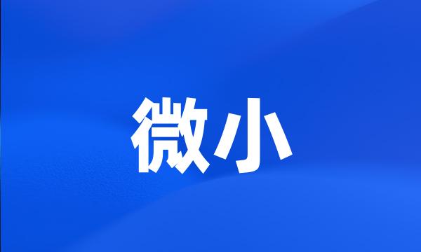 微小