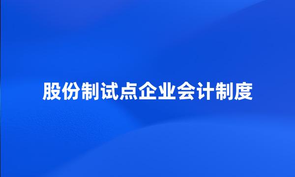 股份制试点企业会计制度