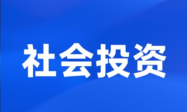 社会投资