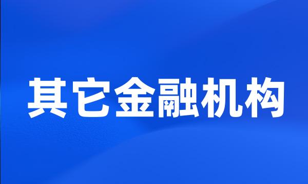 其它金融机构