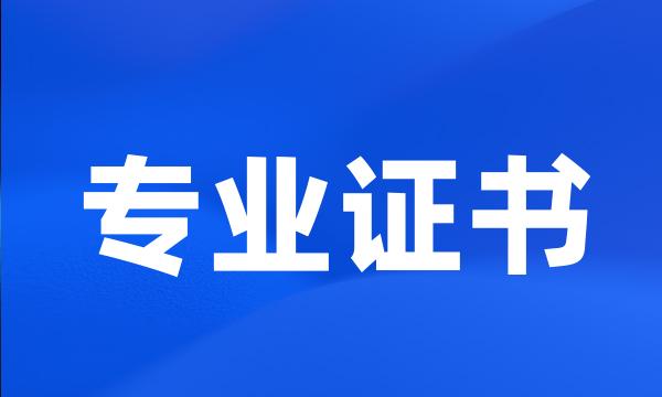 专业证书