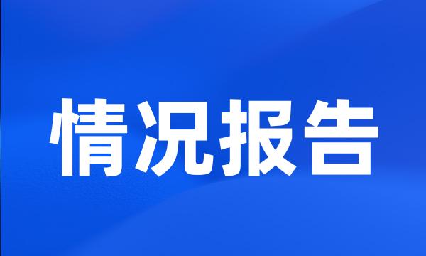 情况报告