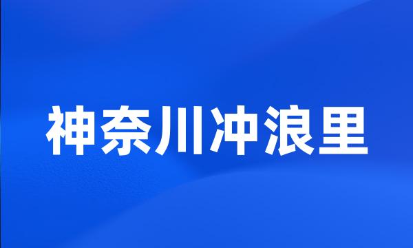 神奈川冲浪里