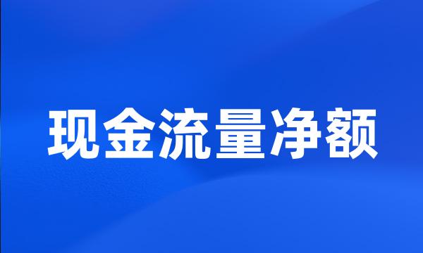 现金流量净额