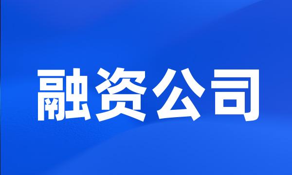 融资公司