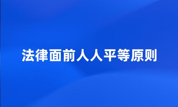 法律面前人人平等原则