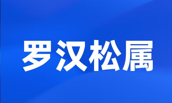 罗汉松属