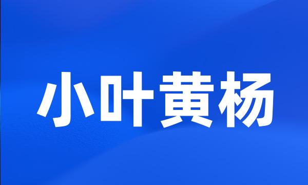 小叶黄杨