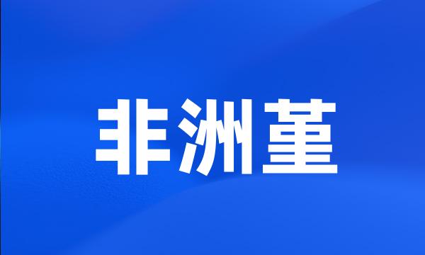 非洲堇