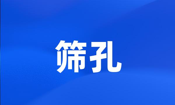 筛孔