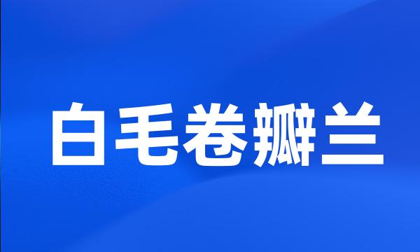 白毛卷瓣兰