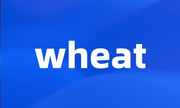 wheat