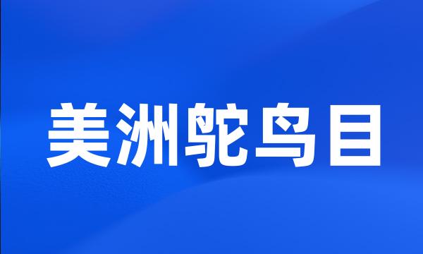 美洲鸵鸟目