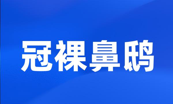 冠裸鼻鸱