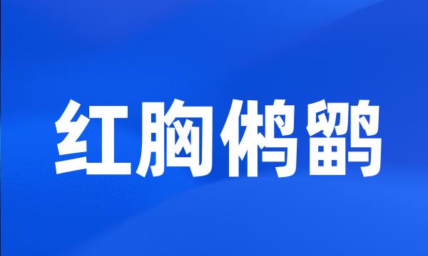 红胸鸺鹠