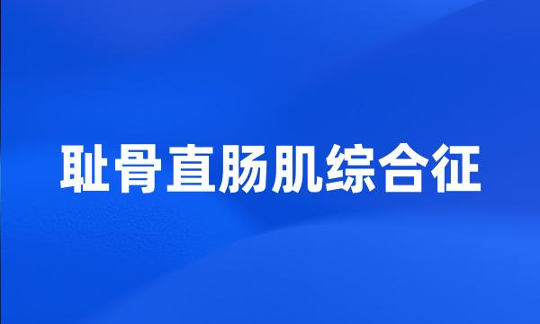 耻骨直肠肌综合征