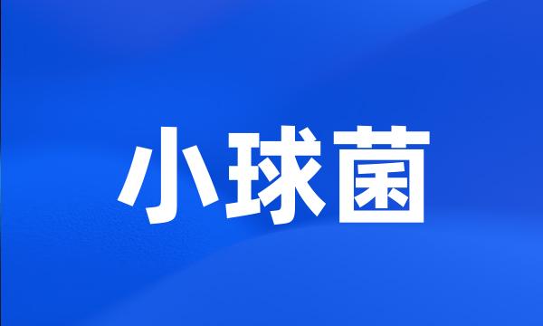 小球菌