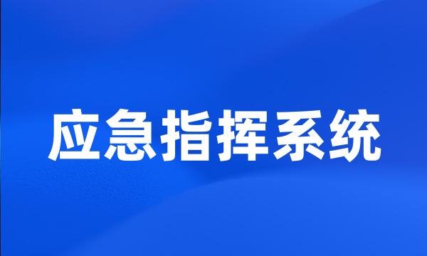 应急指挥系统