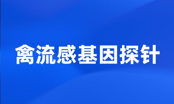 禽流感基因探针