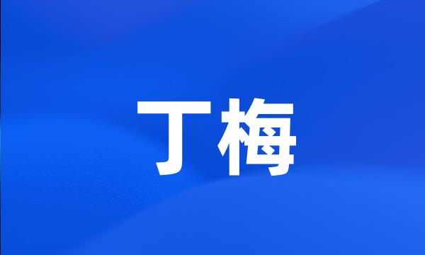 丁梅