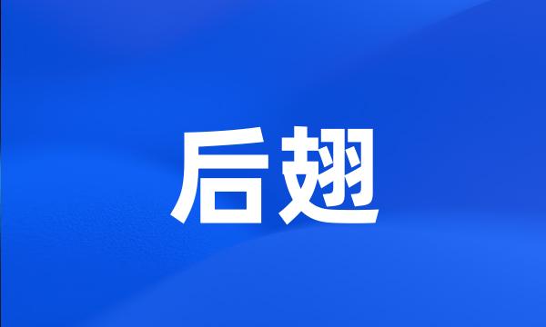 后翅