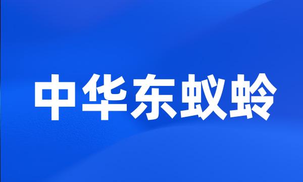 中华东蚁蛉