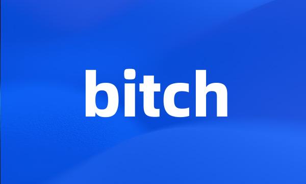 bitch